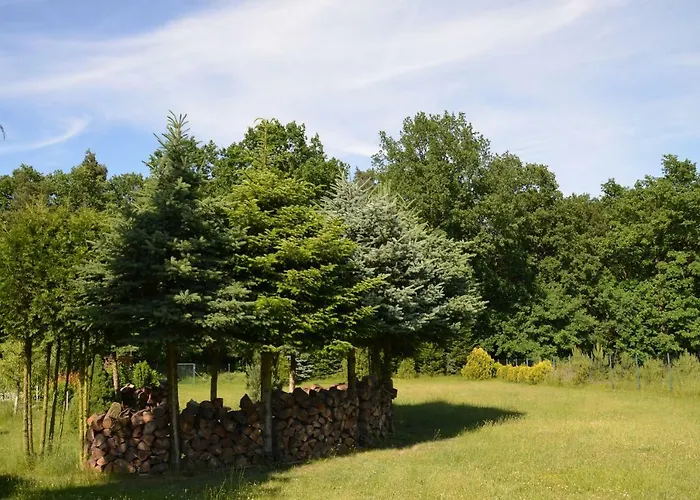 Przy A4 Alloggio in famiglia